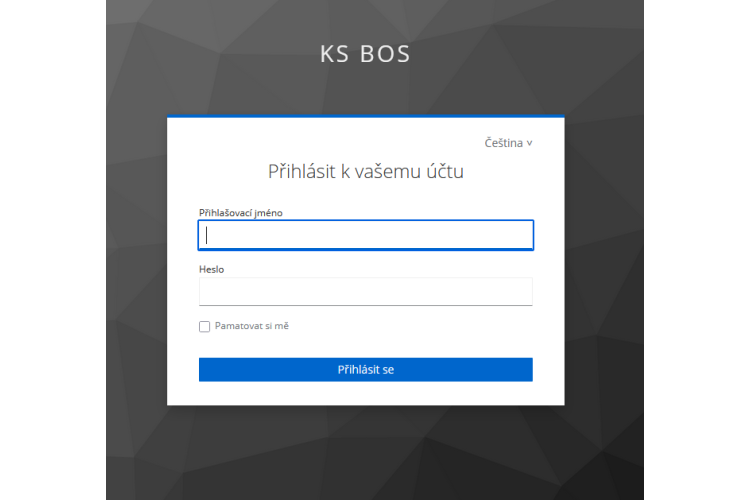 KS-BOS - SW pro kamery ve vozidlech